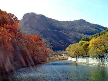 新澳门二四六天天开奖，斑宁祛斑霜